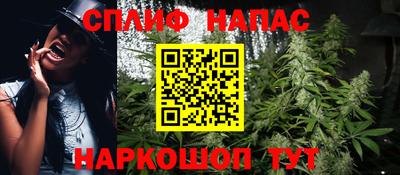 дурь Сланцы