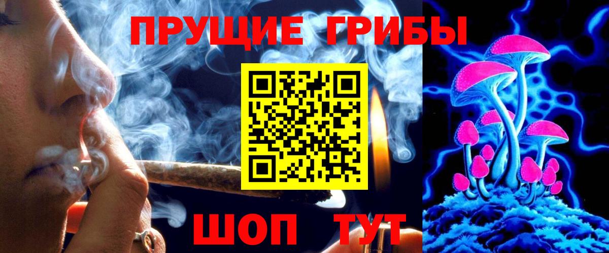 Галлюциногенные грибы Cubensis Пушкино