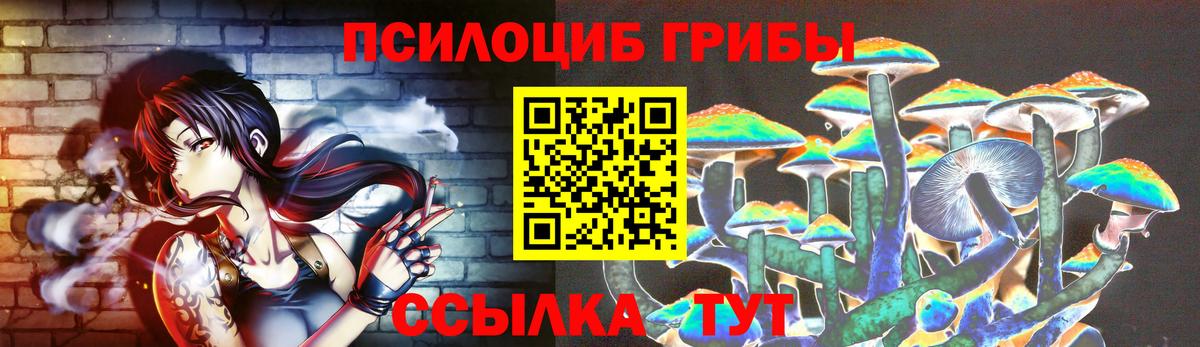 Галлюциногенные грибы GOLDEN TEACHER  Вход с VPN  Псилоцибиновые грибы MAGIC MUSHROOMS  Пушкино 